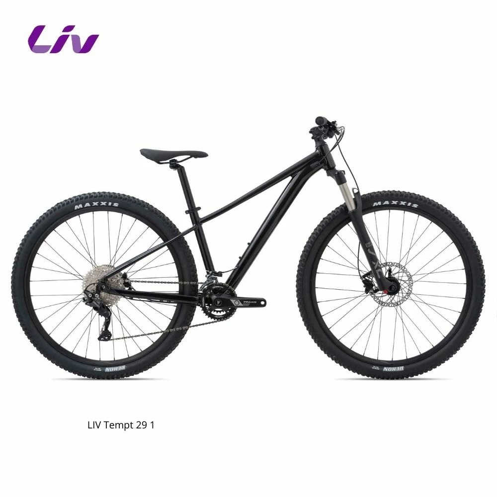 LIV Tempt 29 1 1 LIV Tempt 29 1